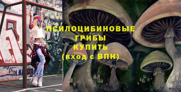 сатива Медвежьегорск