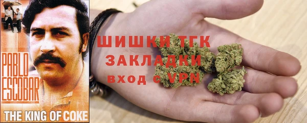 сатива Медвежьегорск