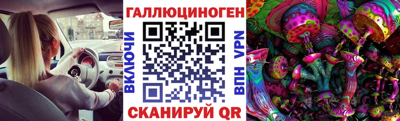 МЕГА ссылки  Покровск  Галлюциногенные грибы Psilocybe 
